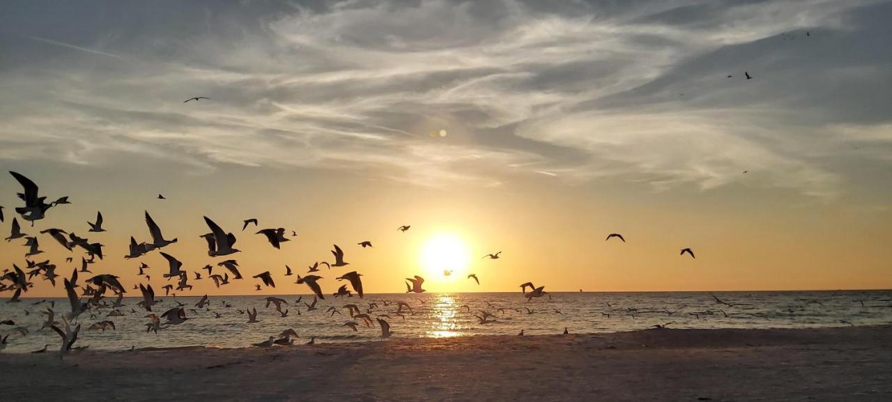 Villa Sunset Vistas 302S St. Pete Beach Exterior foto